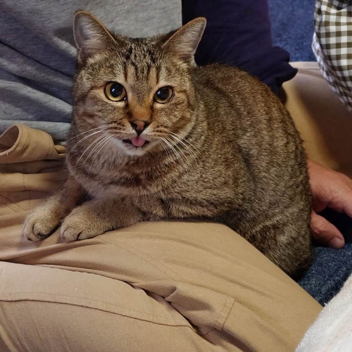 舌が見えてしまう「しまきち」ちゃん