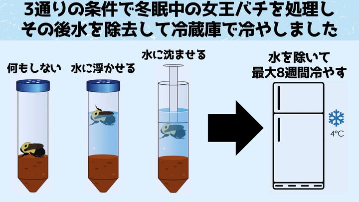 水没に耐える実験