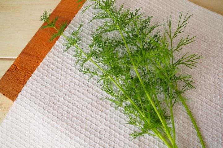 ディルビネガーの作り方〜洗って水気をとる