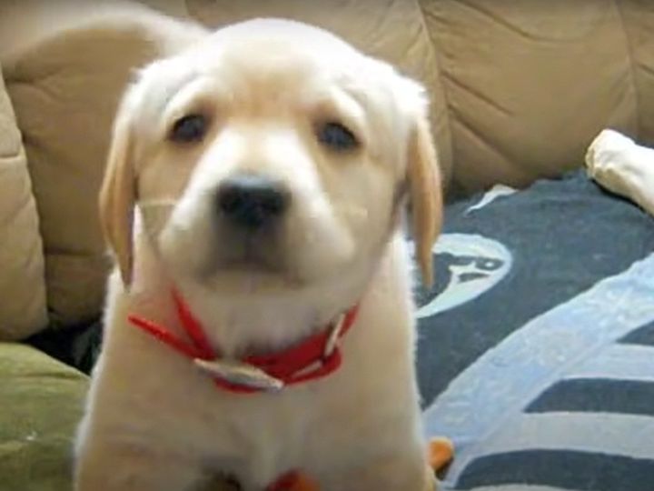 カメラを見つめて…