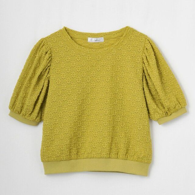 2024年春のしまむらのレディーストップス