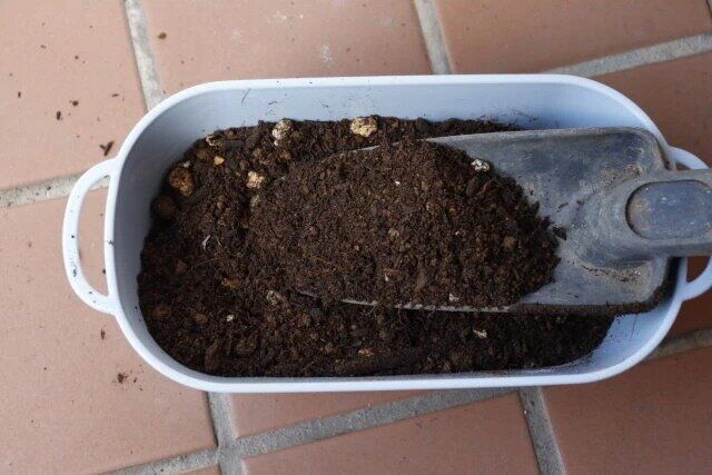 ダイソーのバスケットプランター ブルーグレーに土を入れた様子