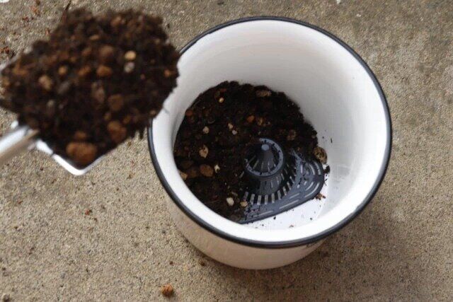 ダイソーの鉢底ネット（5.7cm×6cm×3.5cm、8個組）を鉢に入れた様子