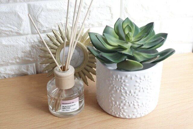 ダイソーの植木鉢（モダンレリーフ）を飾った様子