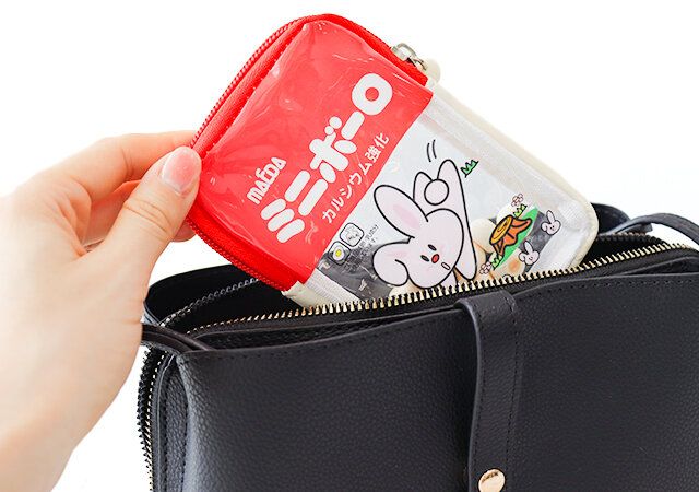 ミニボーロのクリアポーチはコンパクト