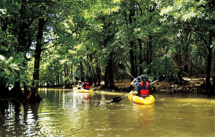 マングローブカヤック／西表島ホテル