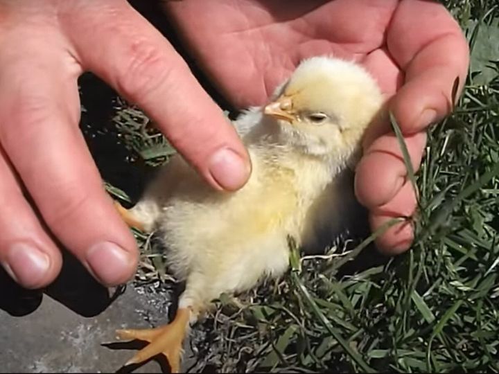 あれ…？ もう寝そう？