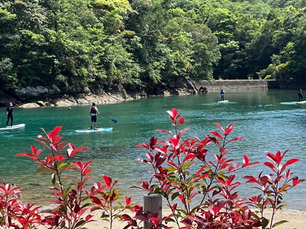 新規オープンした新設備のキャンプ場6選