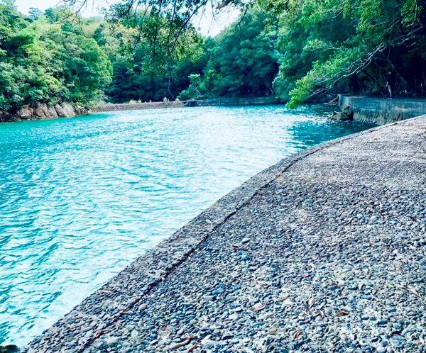 新規オープンした新設備のキャンプ場6選