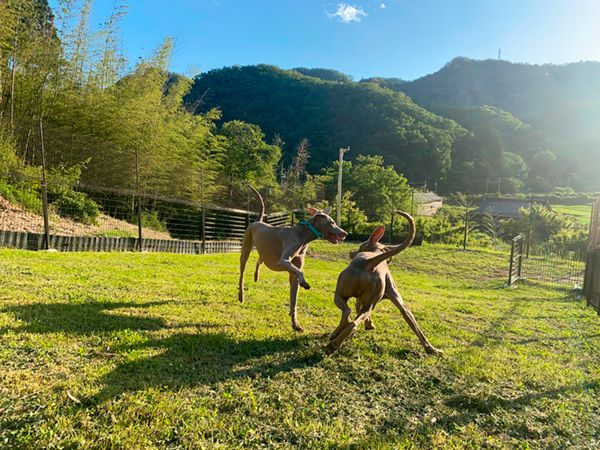 新規オープンした新設備のキャンプ場6選