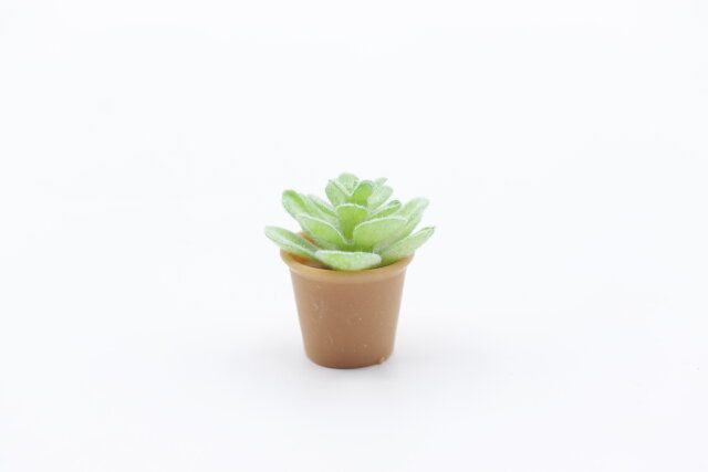ダイソーのリアルなミニチュア 観葉植物Ｉ