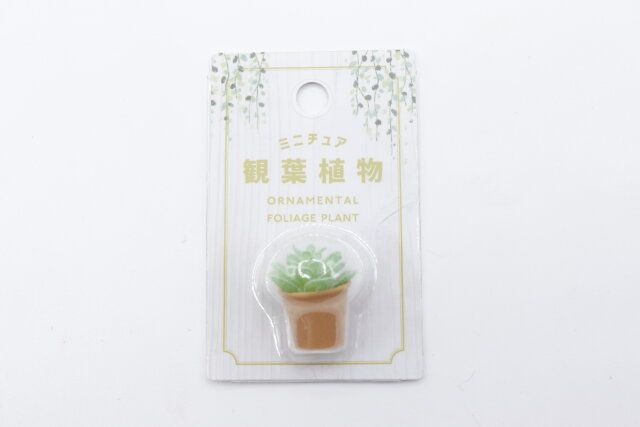 ダイソーのミニチュア 観葉植物Ｉのパッケージ