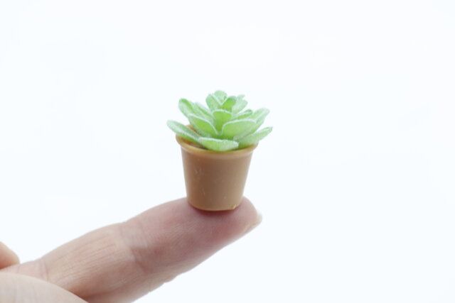 ダイソーの指先に乗るミニチュア 観葉植物Ｉ