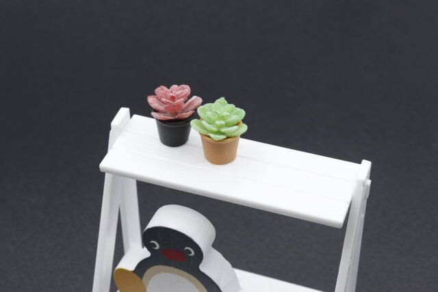 ダイソーの飾りたくなるミニチュア 観葉植物Ｉ