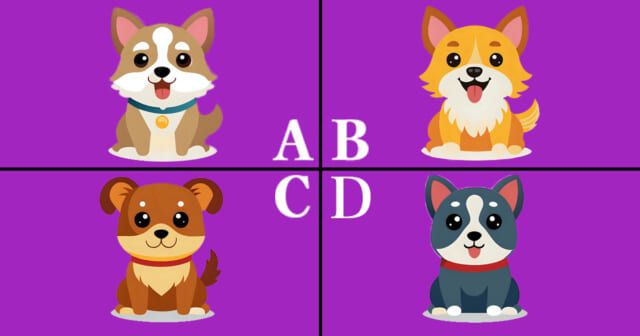 どのワンちゃんを選ぶ？【心理テスト】日常のプチ幸せを診断！