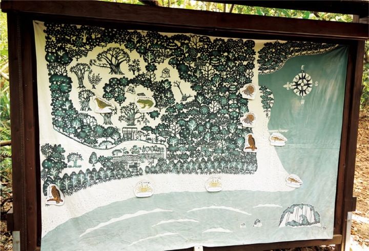 イリオモテガイドウォーク／西表島ホテル