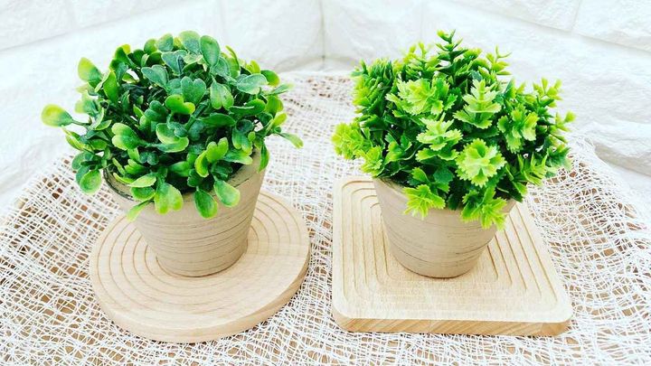 画像4: 出典：Instagram