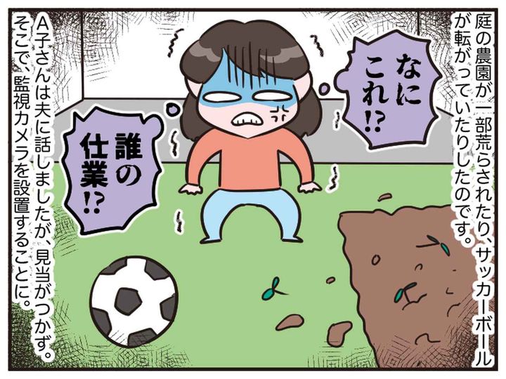 画像1: 隣人の遊び場