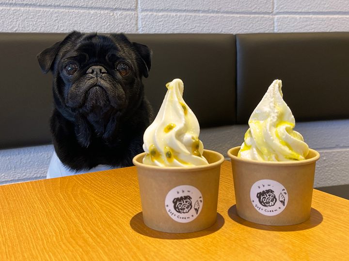 （左から）「ソフトクリーム」500円、「パッションフルーツ トッピング」＋150円 ※なくなり次第終了、「ソフトクリーム」500円、「オリーブオイル＆塩 トッピング」＋100円