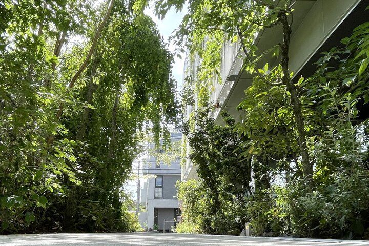 まるで鎌倉の自然の中にいるように感じる緑豊かなカフェでひと休み♪「café518」