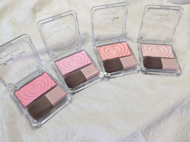 パウダーチクス