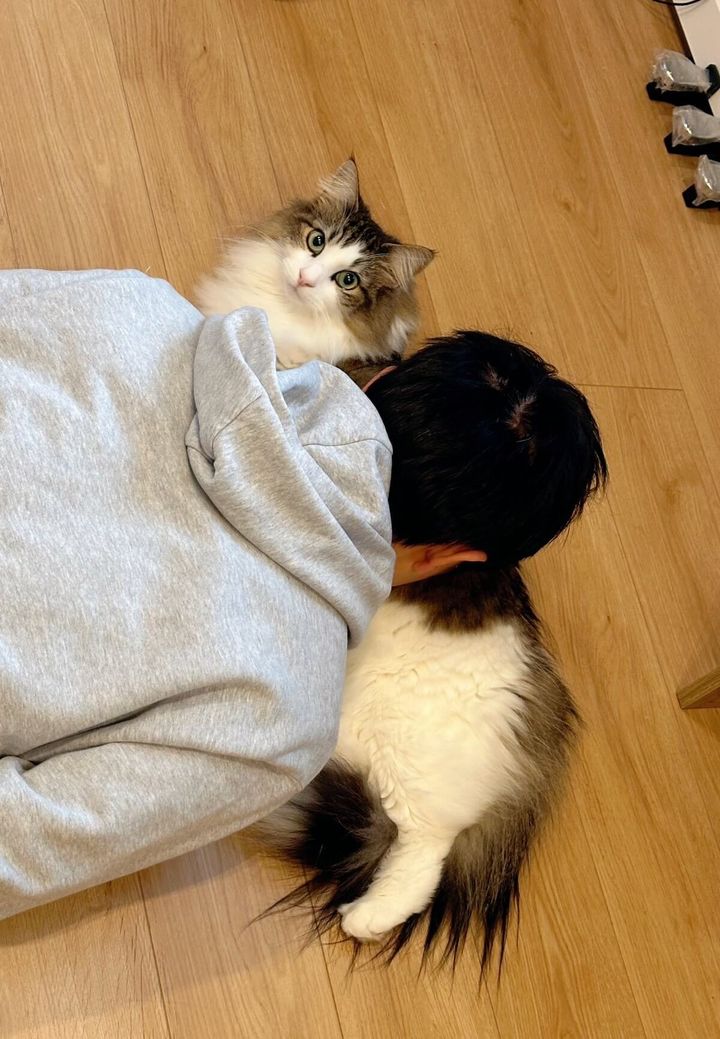 床にうつ伏せになってノルウェージャンフォレストキャットを猫吸いをする男性