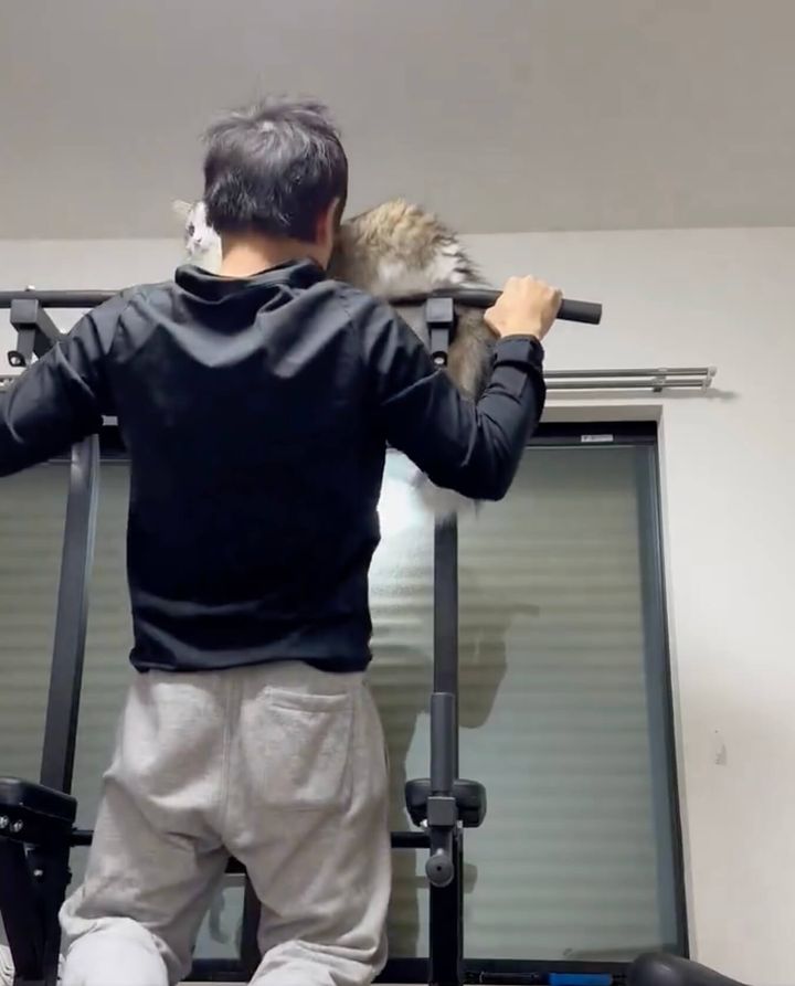 懸垂をしながら猫吸いをする様子