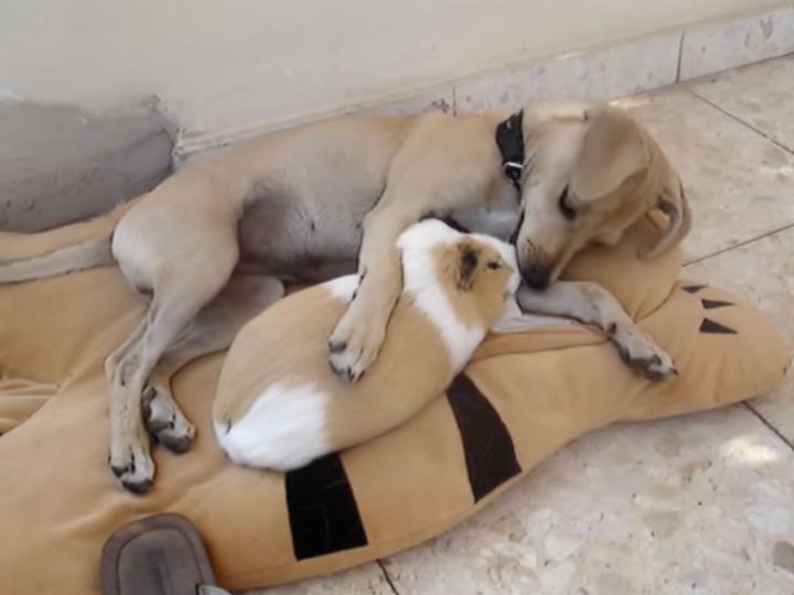 超ラブラブ…！