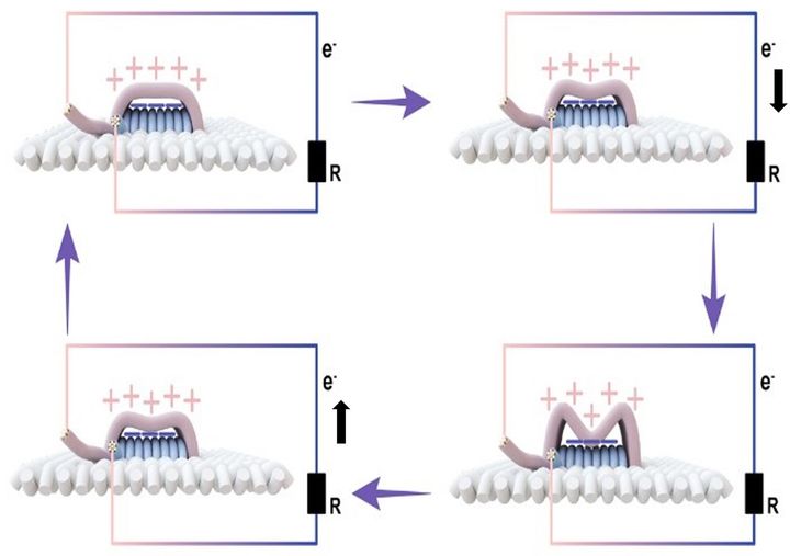 センサーを指で押すと、2種類の繊維層の隙間が埋まる