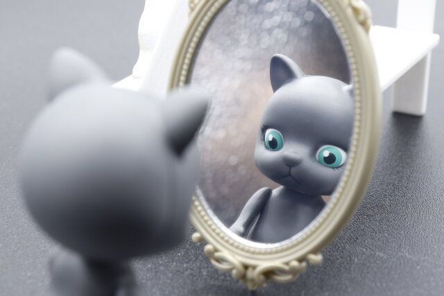 セリアのミニチュア ウォールミラー オーバルの鏡面の映り