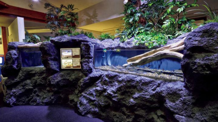 山梨〈クニマス展示館〉