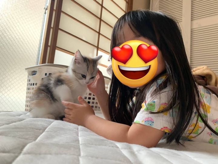 一緒に成長してきた娘さんと猫のシャロンちゃん