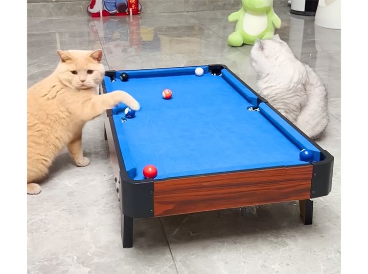 こっそりズルもしちゃうよ。 猫のビリヤード勝負！