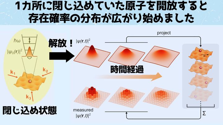 固定されていた単一原子が解放されると波束が拡散していきます