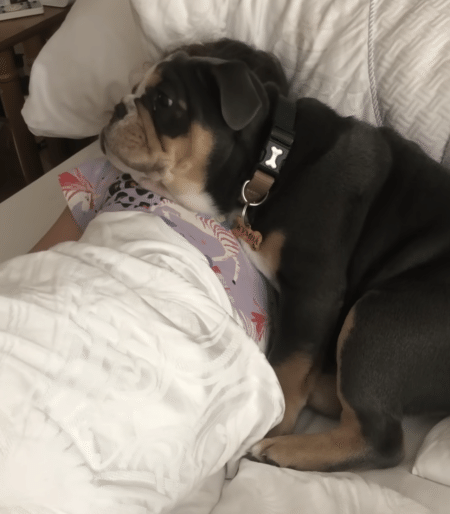 女の子をうしろからそっとハグ！ くっついて寝たい犬さんの行動が可愛い♡