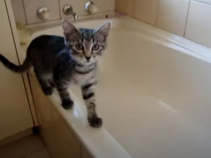 戦いの行方は…！？