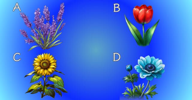 何の花が咲いている？【心理テスト】あなたの事なかれ度を診断！