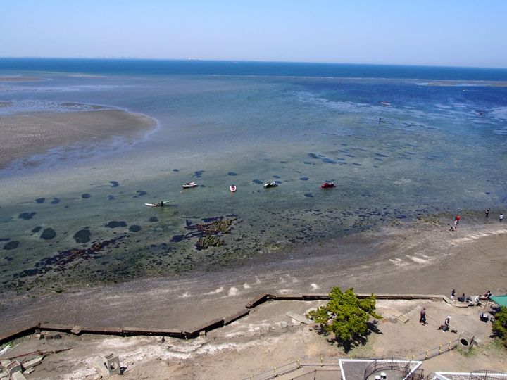 千葉県といえば落花生！食べだしたら止まらない「ピーナツ王子」【旅するデザイナーがおすすめする旅先でのお土産たち！】
