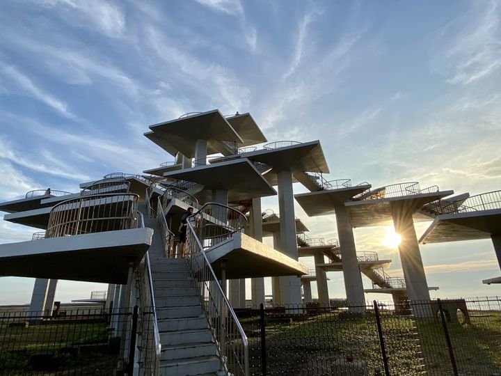 千葉県といえば落花生！食べだしたら止まらない「ピーナツ王子」【旅するデザイナーがおすすめする旅先でのお土産たち！】