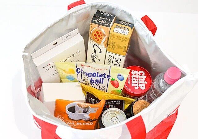 素敵なあの人 6月号 付録 タイガー魔法瓶とコラボ キャリーケースにつけられる♪保冷機能つき大容量バッグ 使用例