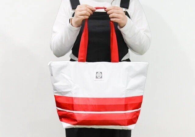 素敵なあの人 6月号 付録 タイガー魔法瓶とコラボ キャリーケースにつけられる♪保冷機能つき大容量バッグ