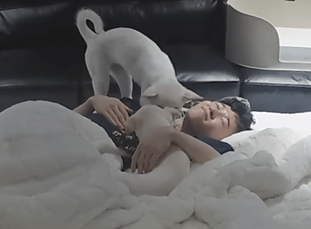 犬猫と一緒におやすみタイム♡ 憧れるけど、実はとっても大変？