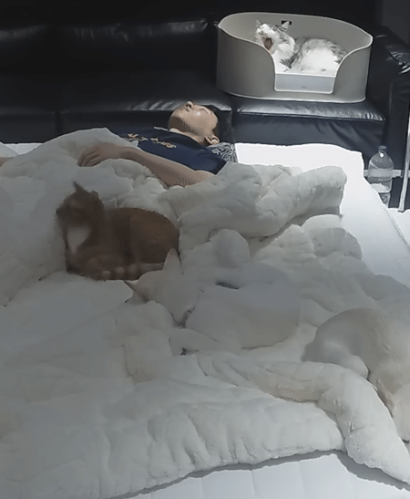 犬猫と一緒におやすみタイム♡ 憧れるけど、実はとっても大変？