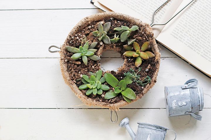 多肉のリース作り