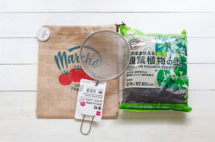 多肉のリース作り