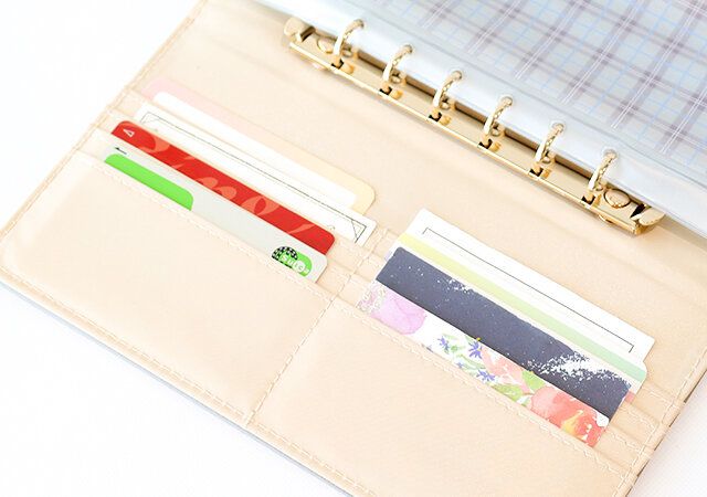 宝島社のムック付録の本気でお金が貯まる万能バインダーセットはカードポケットを10個搭載