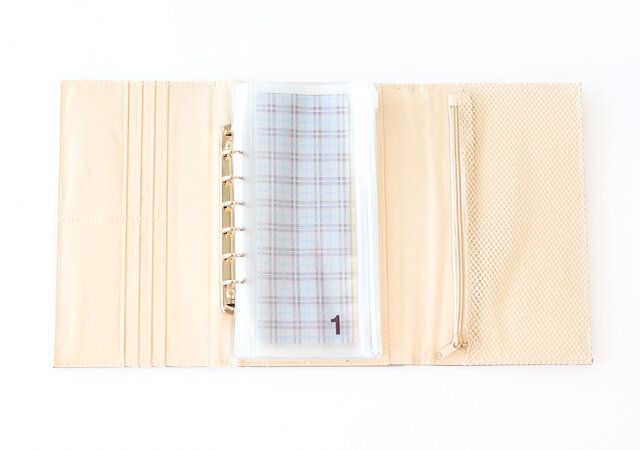 宝島社のムック付録の本気でお金が貯まる万能バインダーセットの使用例