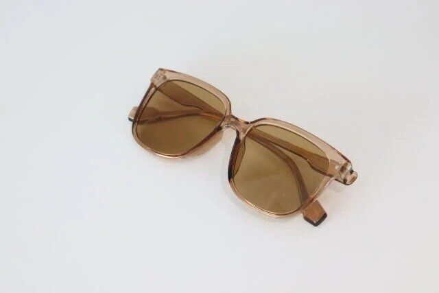 ダイソーのブラウンのサングラス