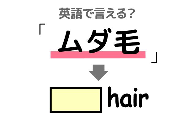 英語で【ムダ毛】は何て言う？「ムダ毛を剃る」などの英語もご紹介