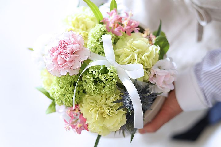 母の日のカーネーション